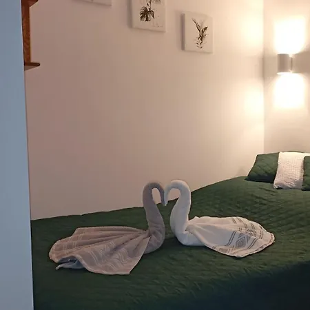 Apartment ,,zielona Przystan Nad Morzem