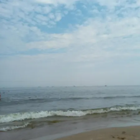 ,,zielona Przystan Nad Morzem