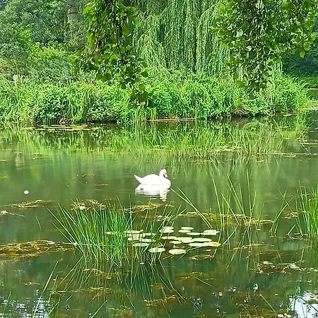 ,,zielona Przystan Nad Morzem